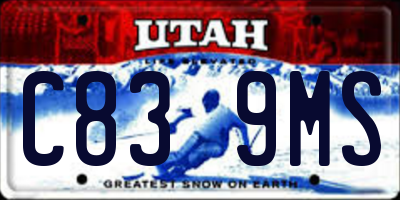 UT license plate C839MS