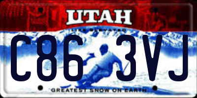 UT license plate C863VJ