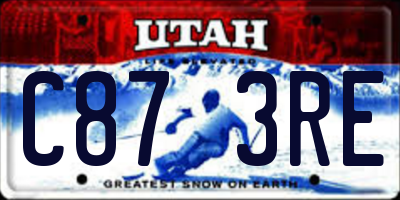 UT license plate C873RE