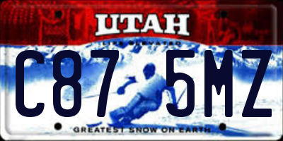 UT license plate C875MZ