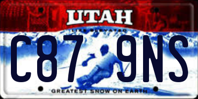 UT license plate C879NS