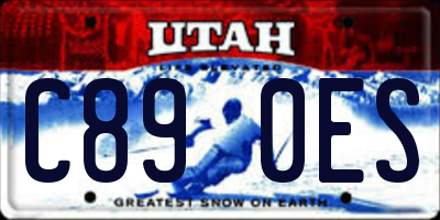 UT license plate C890ES