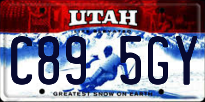 UT license plate C895GY