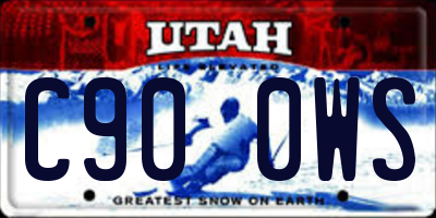 UT license plate C900WS