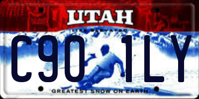 UT license plate C901LY