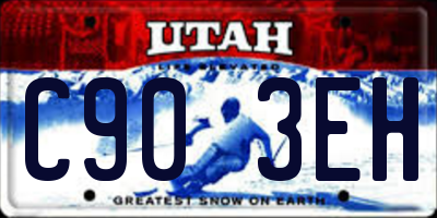 UT license plate C903EH
