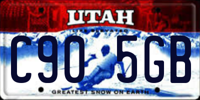 UT license plate C905GB