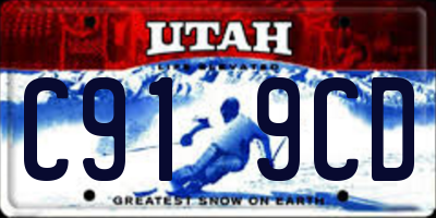 UT license plate C919CD