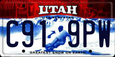 UT license plate C919PW