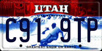 UT license plate C919TP