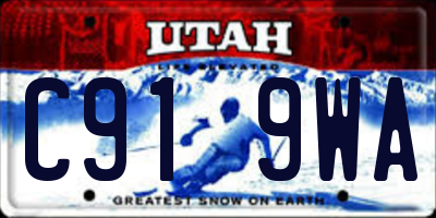 UT license plate C919WA