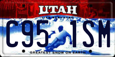 UT license plate C951SM