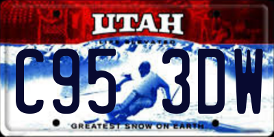 UT license plate C953DW