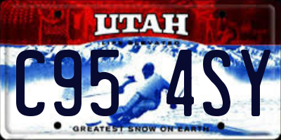 UT license plate C954SY