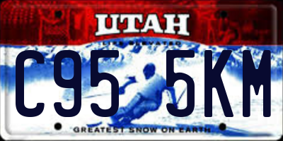 UT license plate C955KM