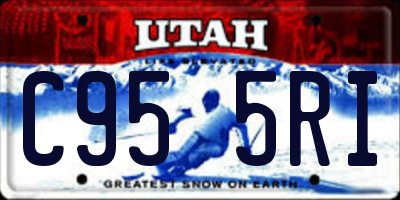 UT license plate C955RI
