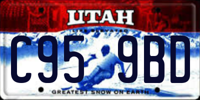 UT license plate C959BD