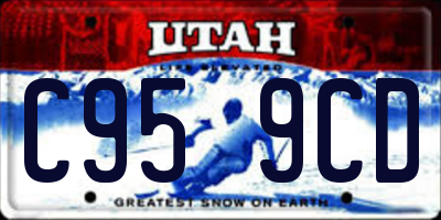 UT license plate C959CD