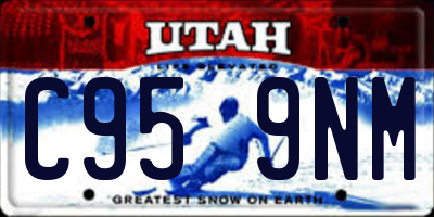 UT license plate C959NM