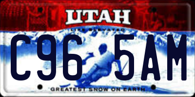 UT license plate C965AM
