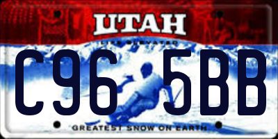 UT license plate C965BB