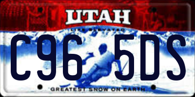 UT license plate C965DS