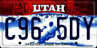 UT license plate C965DY