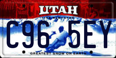 UT license plate C965EY