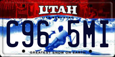 UT license plate C965MI