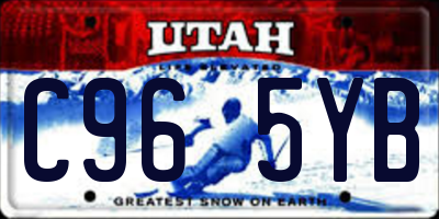 UT license plate C965YB