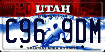 UT license plate C969DM