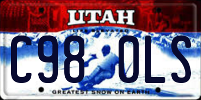 UT license plate C980LS