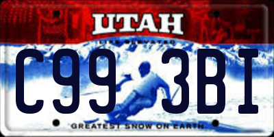 UT license plate C993BI