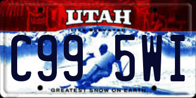 UT license plate C995WI