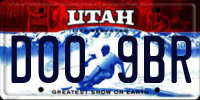 UT license plate D009BR