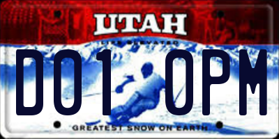 UT license plate D010PM