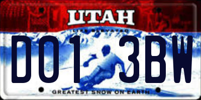 UT license plate D013BW
