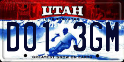 UT license plate D013GM
