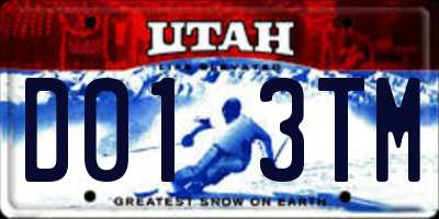 UT license plate D013TM
