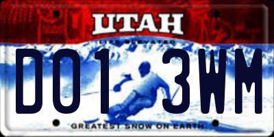UT license plate D013WM