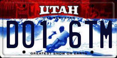 UT license plate D016TM