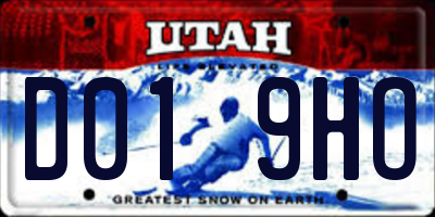 UT license plate D019HO