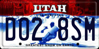 UT license plate D028SM