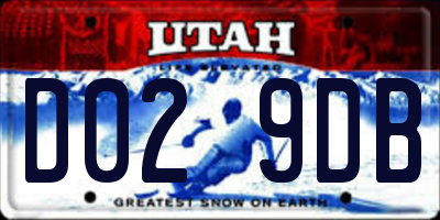 UT license plate D029DB