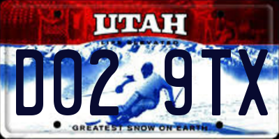 UT license plate D029TX