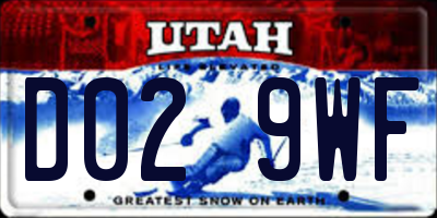 UT license plate D029WF
