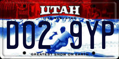 UT license plate D029YP