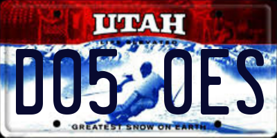 UT license plate D050ES