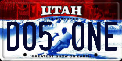 UT license plate D050NE