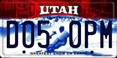 UT license plate D050PM